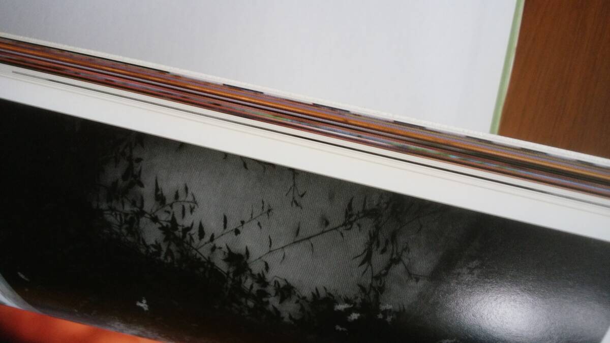 寫真集『吉田真由子　DEVILISH』平成10年　スコラ　カバーにクスミ、帯にイタミあり、初版。良好です　Ⅵ２寫真集　