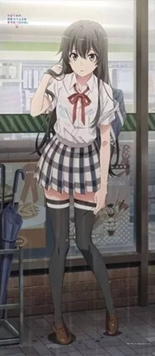 やはり俺の青春ラブコメはまちがっている。完 雪ノ下雪乃(雨宿り) 描き下ろしBIGタペストリー サイズ:約70cm×約160cm_画像1