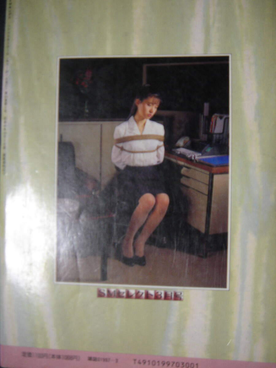 ★　SMセレクト　1990年3月號(hào)　 ★