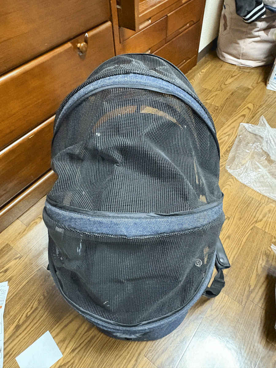  ангел. Cart Denim Bandit размер M tenshi no cart ( собака tepto)