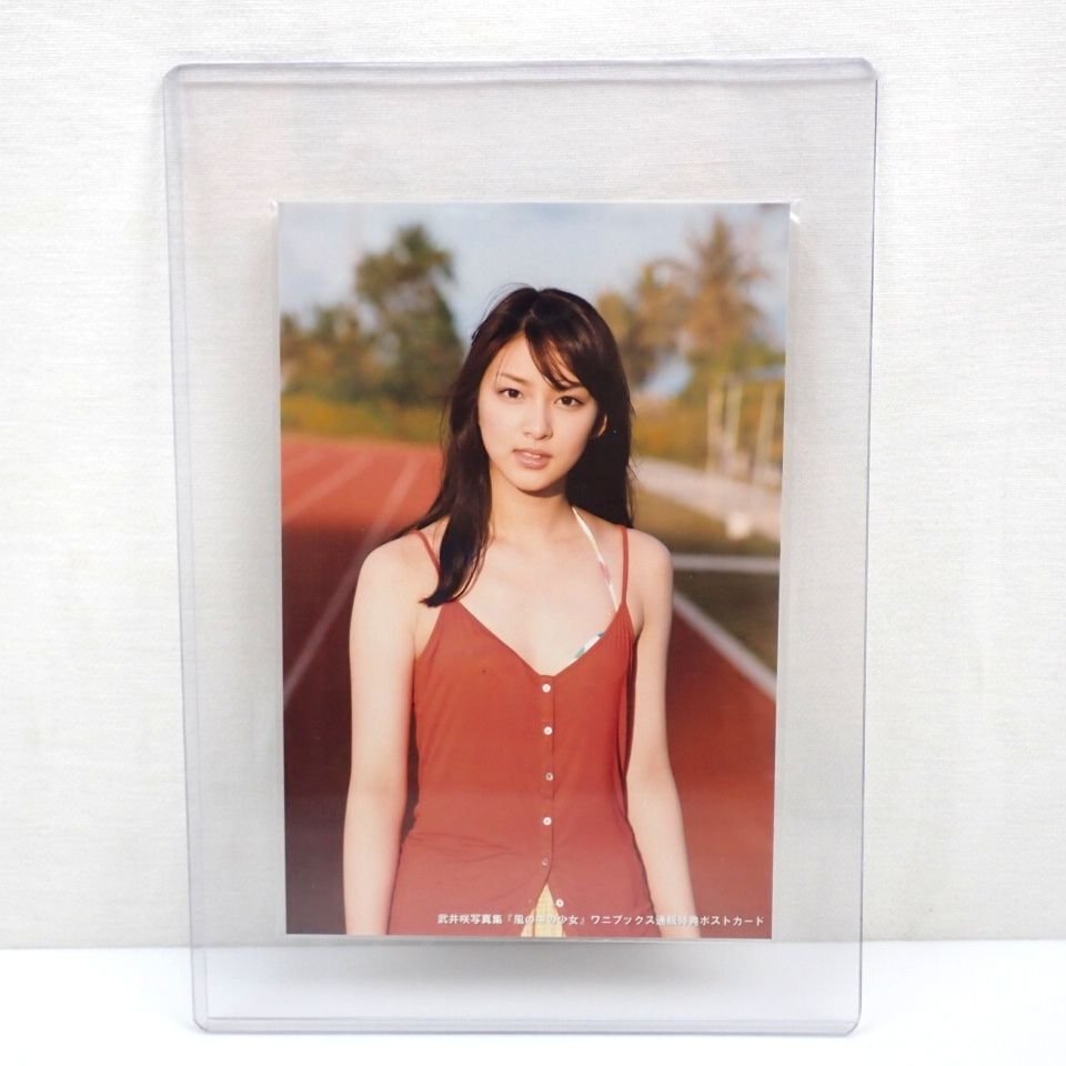 武井咲☆サイン入りダルマ 武井咲☆サイン入りダルマ 結婚＆妊娠発表の武井咲10月期