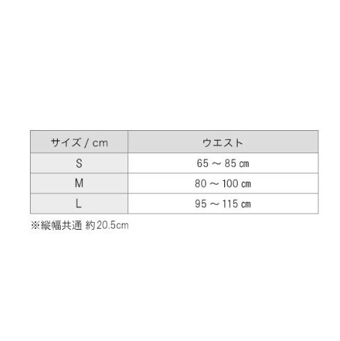 ★ファイテン★phiten★サポーター メタックス腰用ハードタイプ　Sサイズ