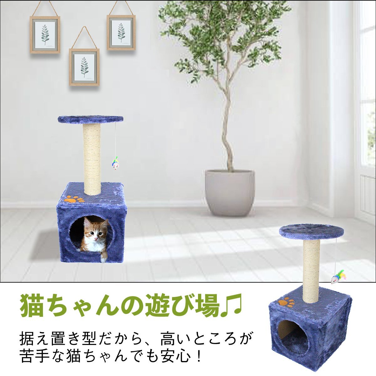 【送料無料】キャットタワー 高さ60cm 貓 肉球 ネイビー 據(jù)え置き ネコハウス コンパクト 運(yùn)動(dòng)不足 爪磨き 游び場(chǎng) 隠れ家 置き型 ネコ