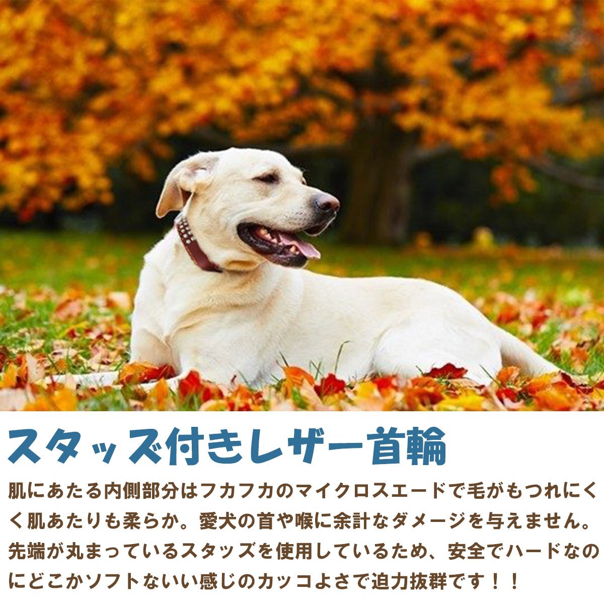 【送料無(wú)料】犬 首輪 大型犬 首回り 50～65cm 幅3.5cm 茶 ブラウン レザー 合皮 ボクサー ハスキー シェパード ゴールデンレトリバー