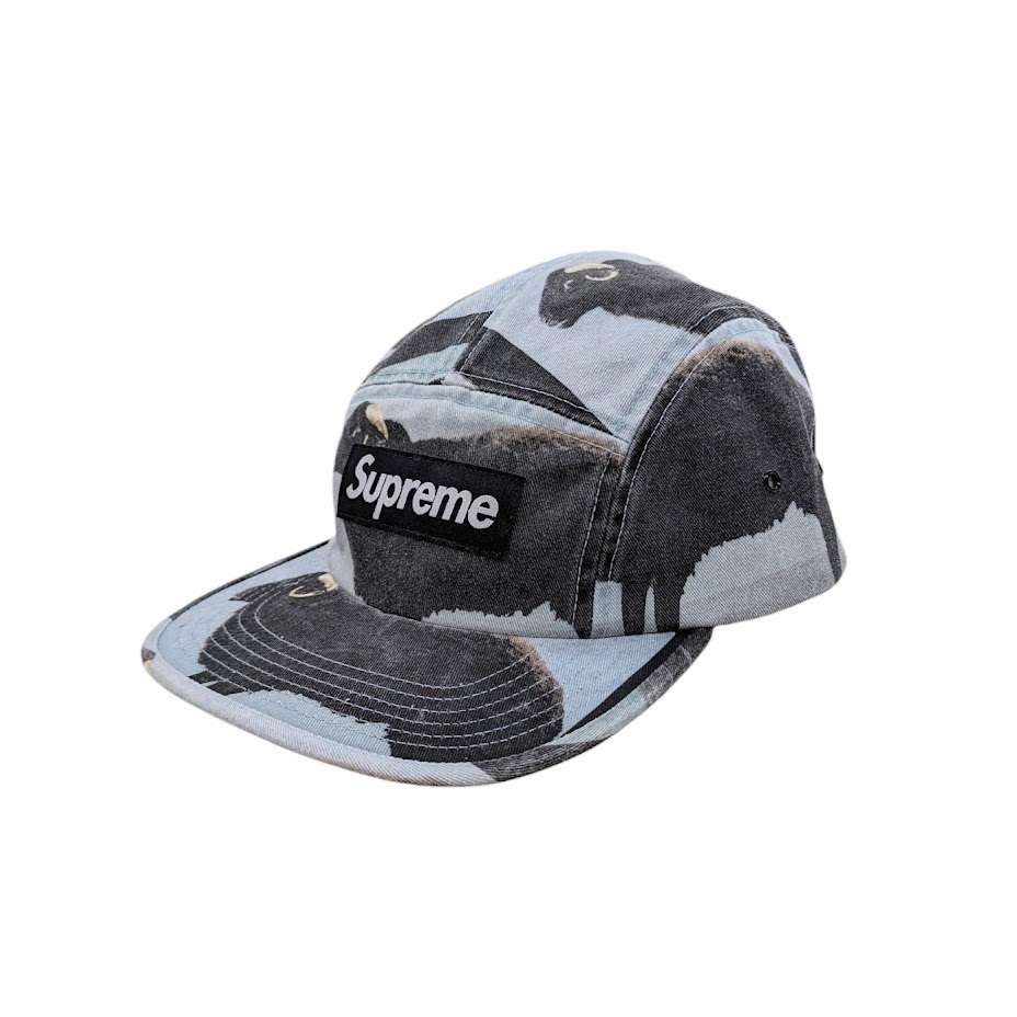 未使用品 25SS SUPREME Supreme シュプリーム Damien Hirst Camp Cap ダミアンハースト アートワーク キャンプキャップ 
