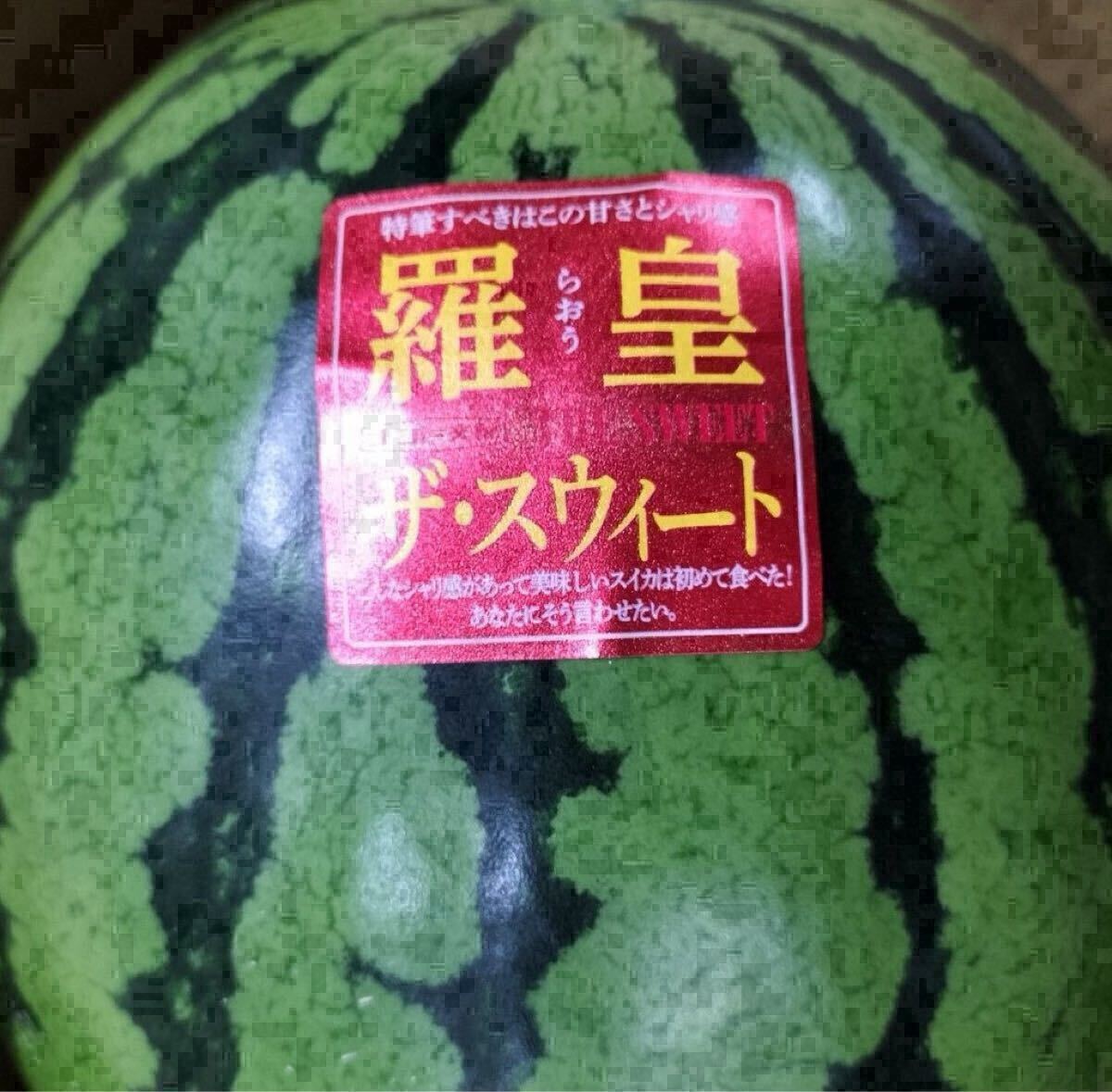 送料無料1円スタート】熊本植木産 春スイカ 羅皇ザ・スウィート 送料無料1円スタート】熊本植木産 春スイカ 羅皇ザ・スウィート
