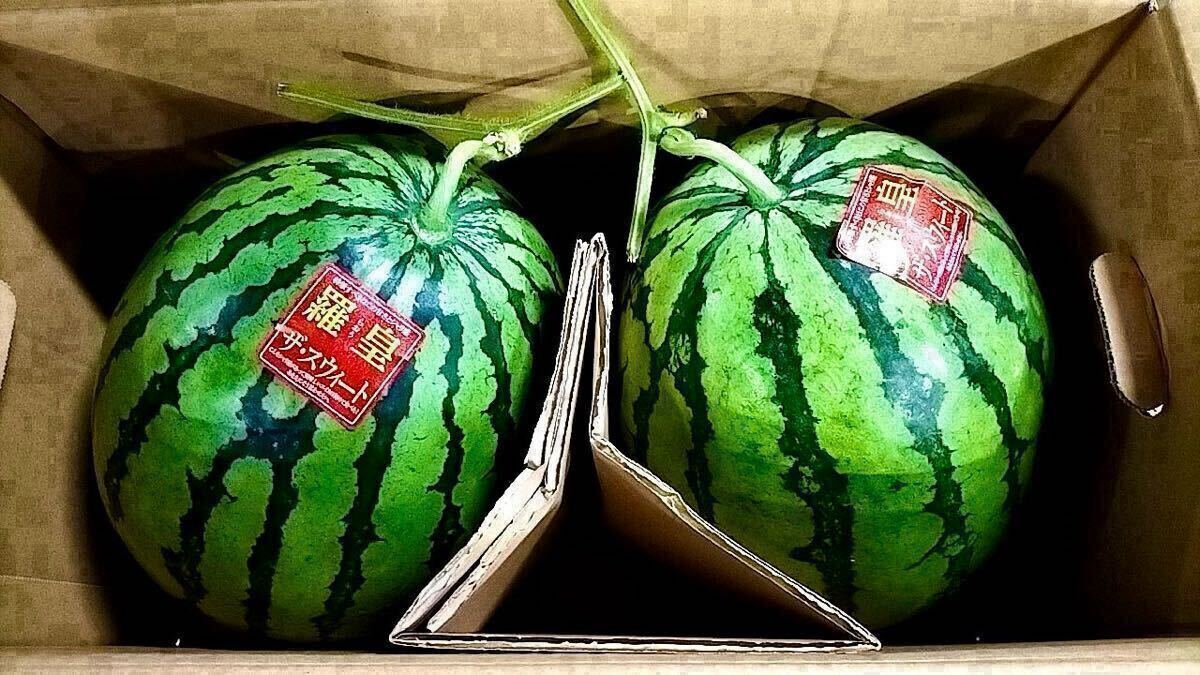 送料無料1円スタート☆】熊本植木産 春スイカ 羅皇ザ 送料無料1円スタート☆】熊本植木産 春スイカ 羅皇ザ
