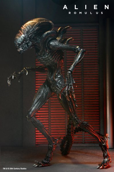 ネカ エイリアン ロムルス スコーチド ゼノモーフ フィギュア NECA ALIEN: ROMULUS SCORCHED XENOMORPH