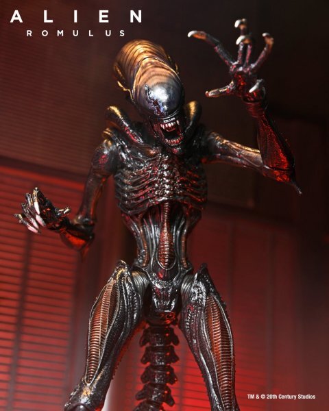 ネカ エイリアン ロムルス スコーチド ゼノモーフ フィギュア NECA ALIEN: ROMULUS SCORCHED XENOMORPH