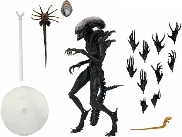 ネカ エイリアン ロムルス スコーチド ゼノモーフ フィギュア NECA ALIEN: ROMULUS SCORCHED XENOMORPH