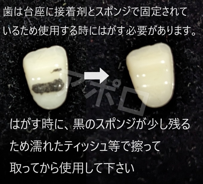 送料無料 仮歯28個セット ＆ 10グラム　ドラキュラ　フィッティングビーズ　義歯 No.871NEW E