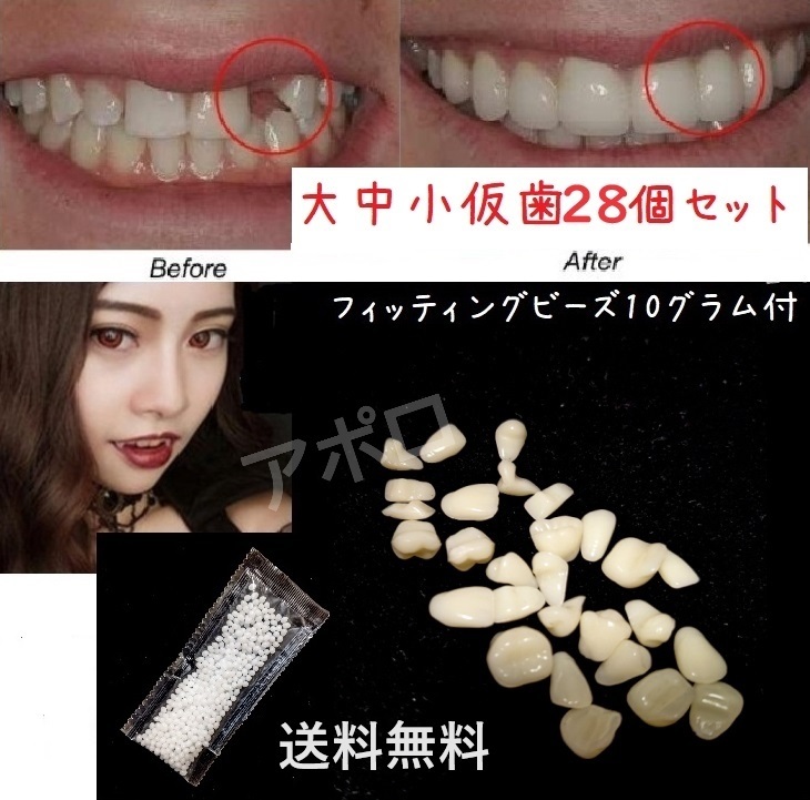 送料無料 仮歯28個セット ＆ 10グラム　ドラキュラ　フィッティングビーズ　義歯 No.871NEW E