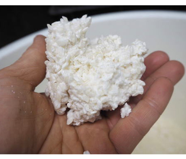  природа культивирование ... тест .(500g)* нет удобрение * нет пестициды * собственный . брать * основательно долгое время ..* тест ... впервые . получен время. впечатление!1 день.. .... изначальный ..!