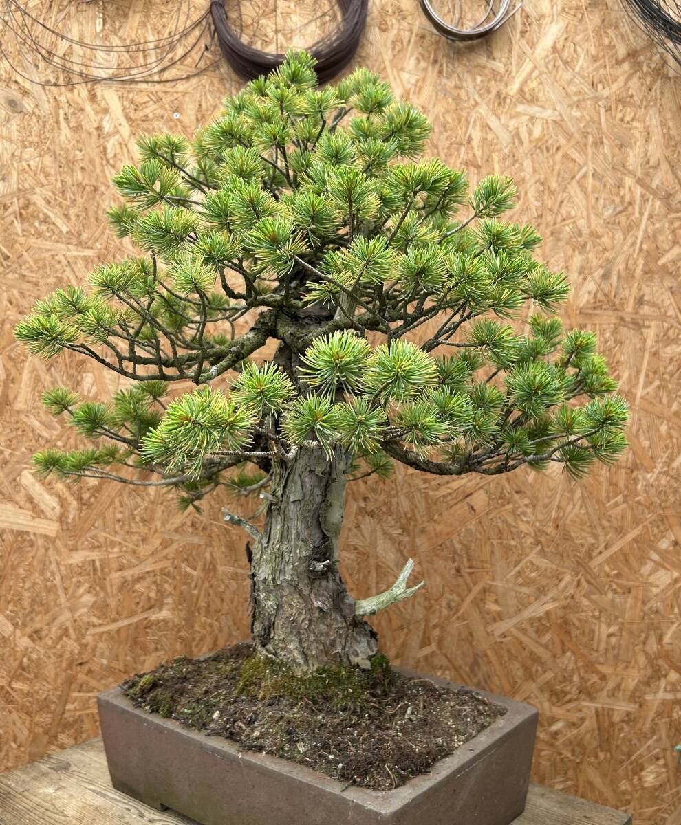 item_image_8