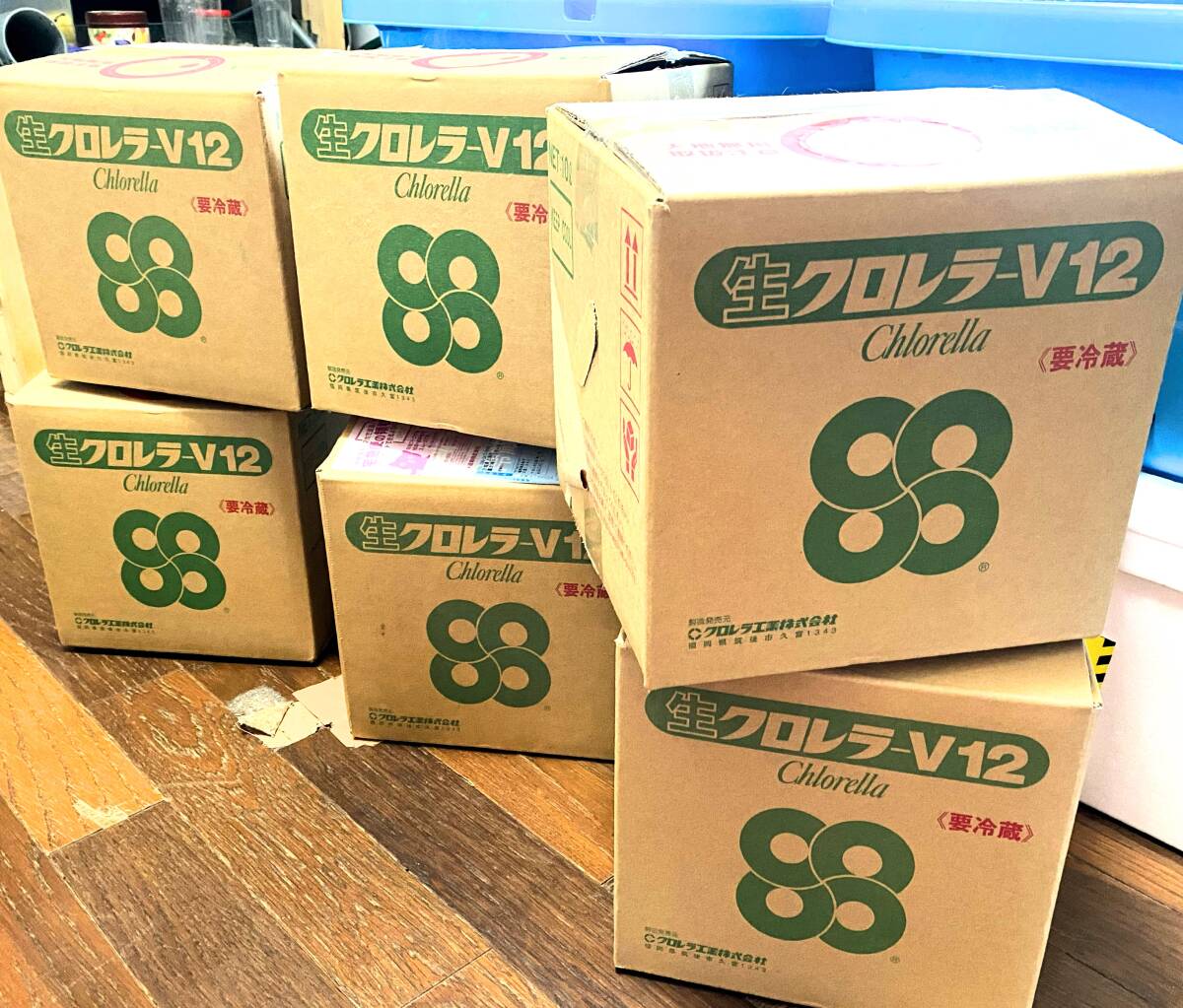 【最安値】　毎週入荷中　生クロレラ　原液?。福埃埃恚臁∩D　産卵促進　メダカ　金魚　熱帯魚　稚魚　栄養(yǎng)食