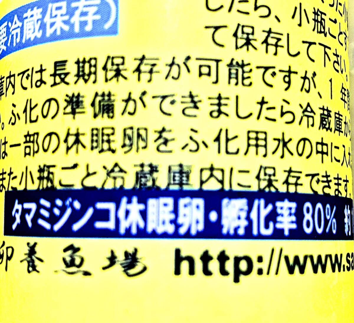 室內(nèi)培養(yǎng)で安心　産卵促進　タマミジンコ 　約１５０００匹　５ｇ以上　プラス増量　大サービス中　メダカ　金魚　熱帯魚　稚魚　栄養(yǎng)食