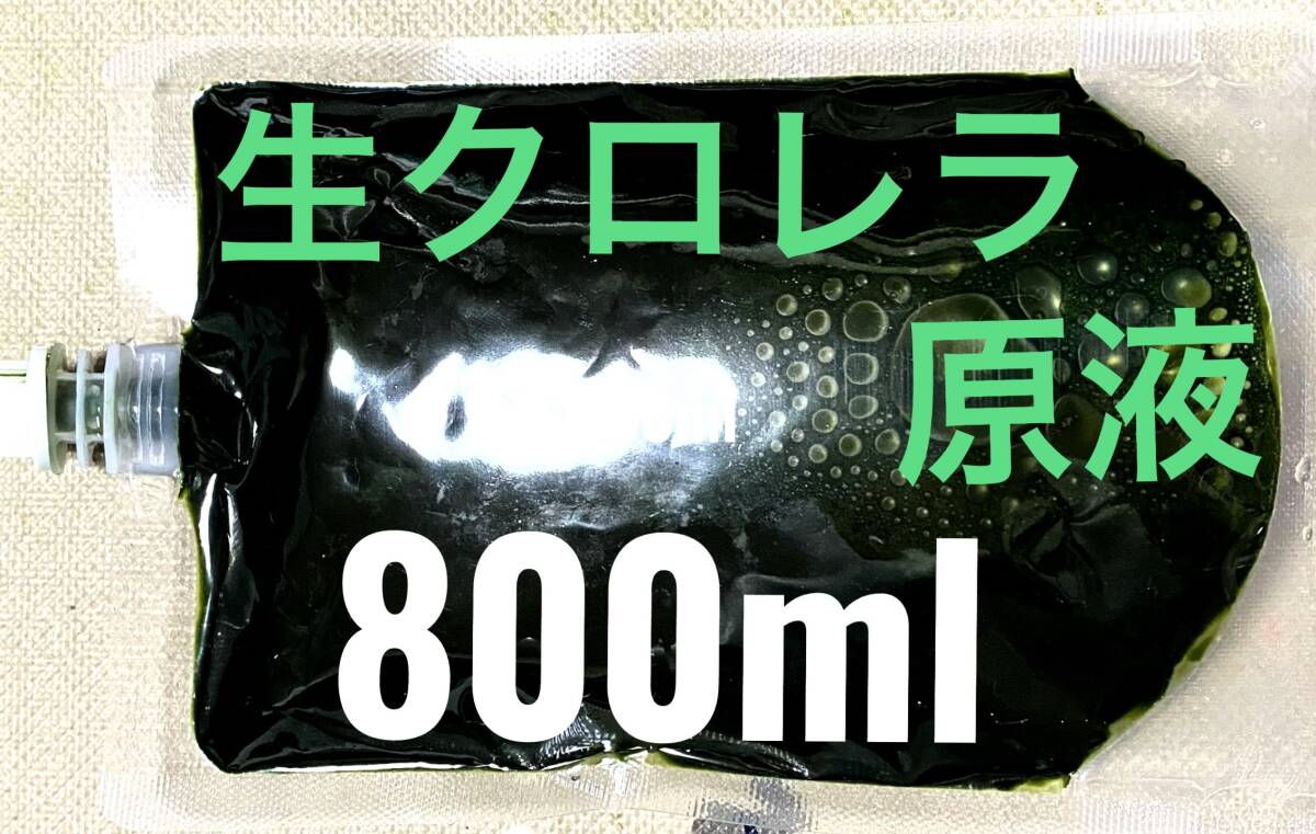 【最安値】　毎週入荷中　生クロレラ　原液?。福埃埃恚臁∩D　産卵促進　メダカ　金魚　熱帯魚　稚魚　栄養(yǎng)食