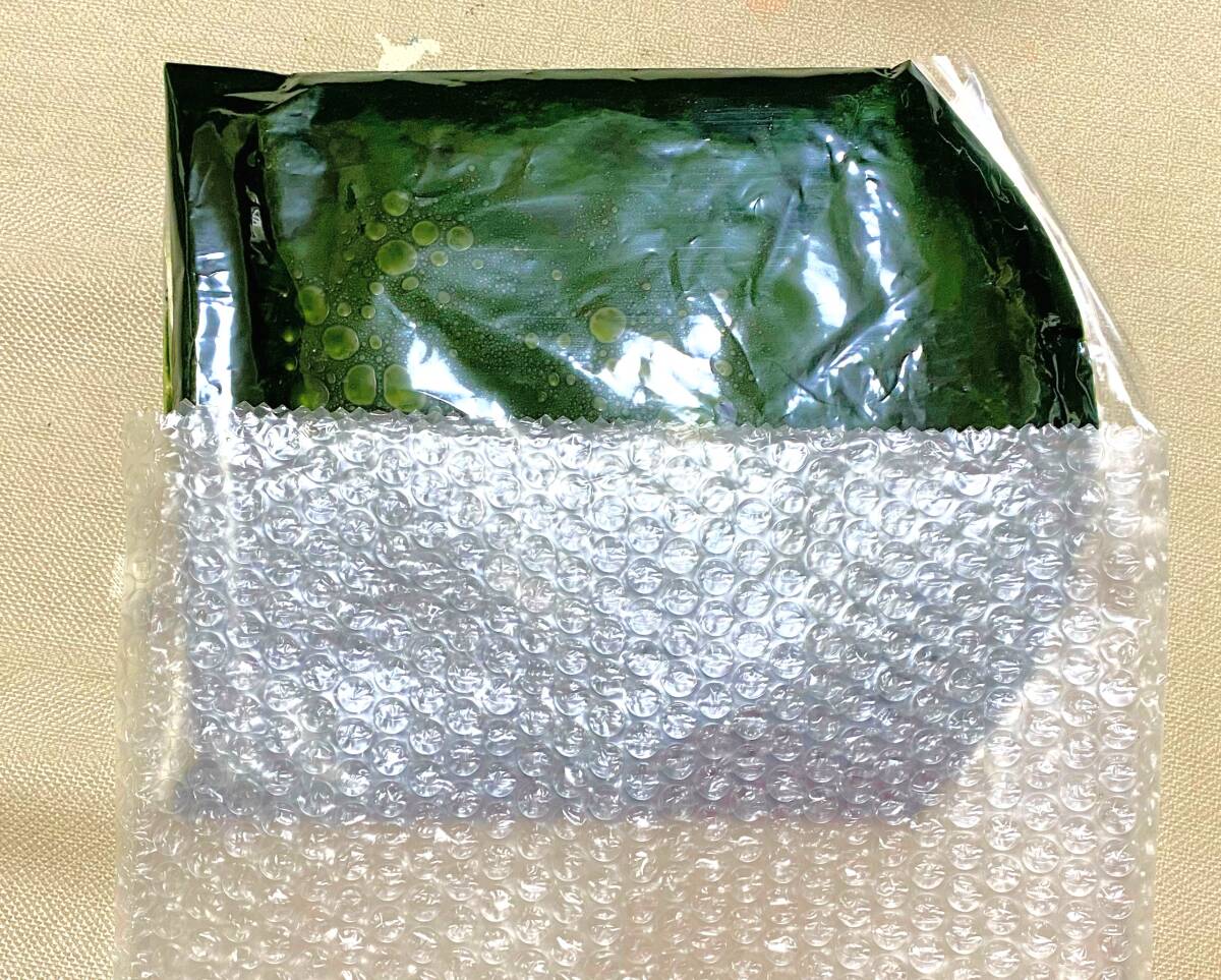 【最安値】　毎週入荷中　生クロレラ　原液　８００ｍｌ　生き餌　産卵促進　メダカ　金魚　熱帯魚　稚魚　栄養(yǎng)食