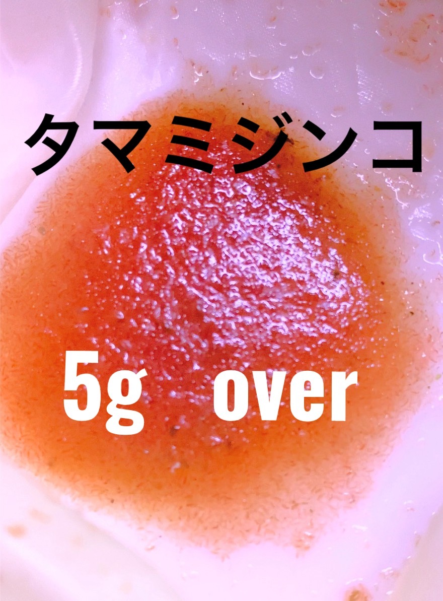 室內(nèi)培養(yǎng)で安心　産卵促進　タマミジンコ 　約１５０００匹?。担缫陨稀ˉ抓楗箟埩俊〈螗旦`ビス中　メダカ　金魚　熱帯魚　稚魚　栄養(yǎng)食