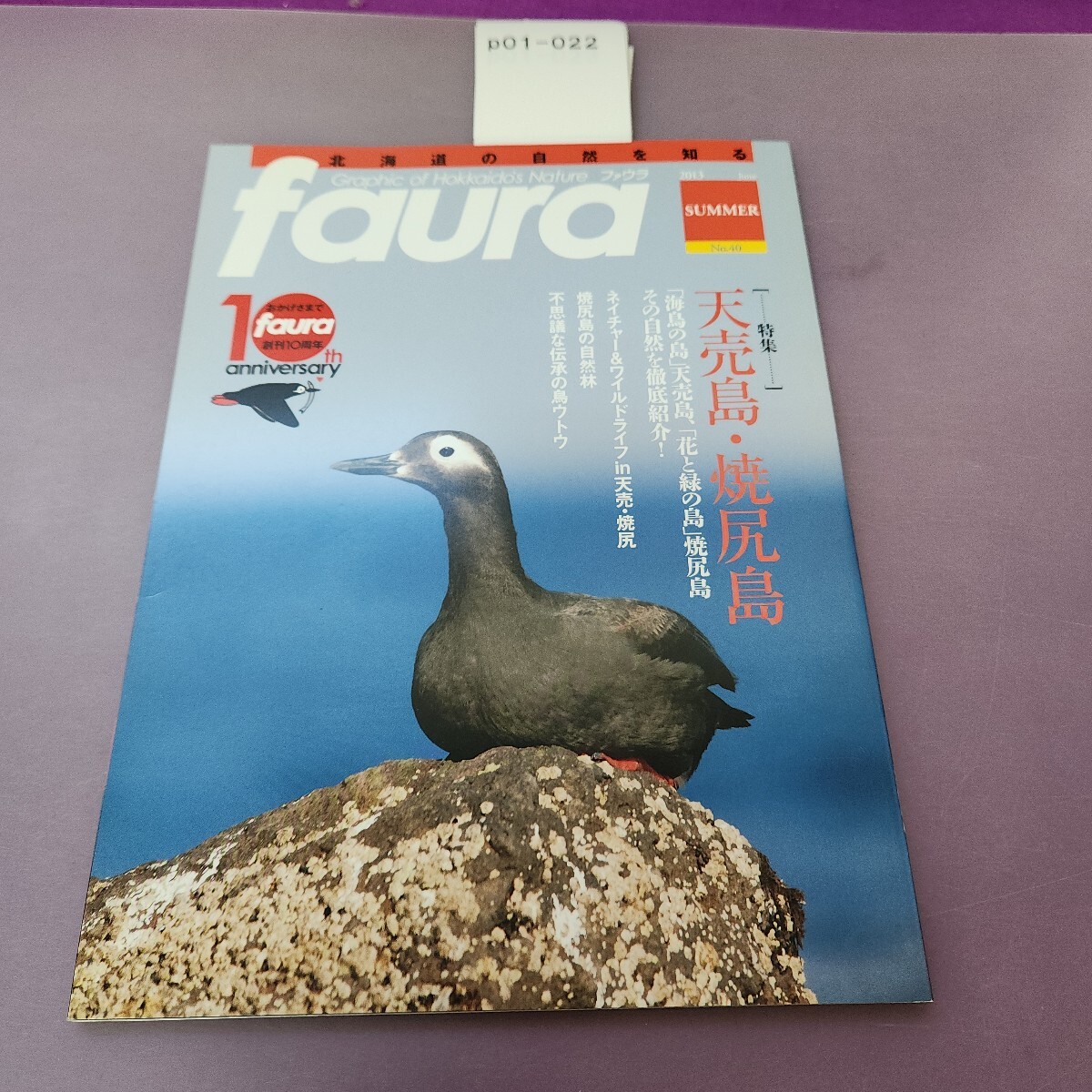 p01-022 faura ファウラ 2013 天売島 焼尻島