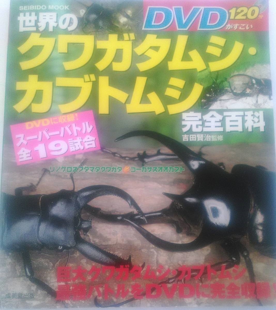 「世界のクワガタムシ・カブトムシ完全百科 DVDがすごい」 スマトラオオヒラタ/アルキデスオオヒラタ/バトル