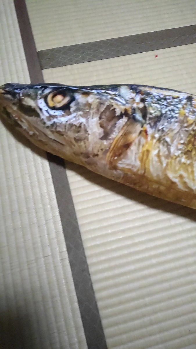 焼きさんまクッションBIG 抱き枕 未使用 長さ120㌢