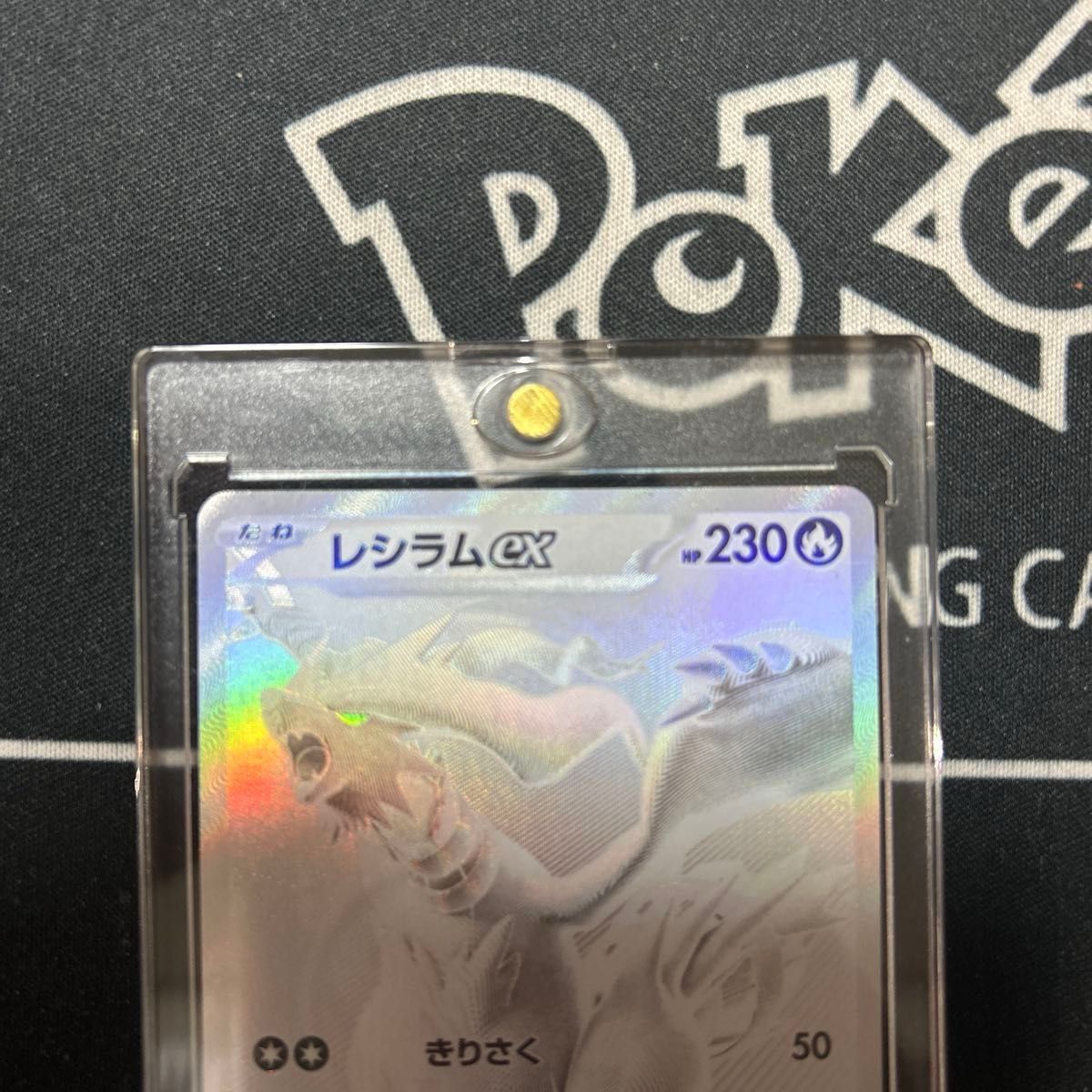 新弾ポケカ レシラムex BWR マグネットローダー付き レシラムex BWR マグネットローダー付|Yahoo!フリマ(旧PayPay