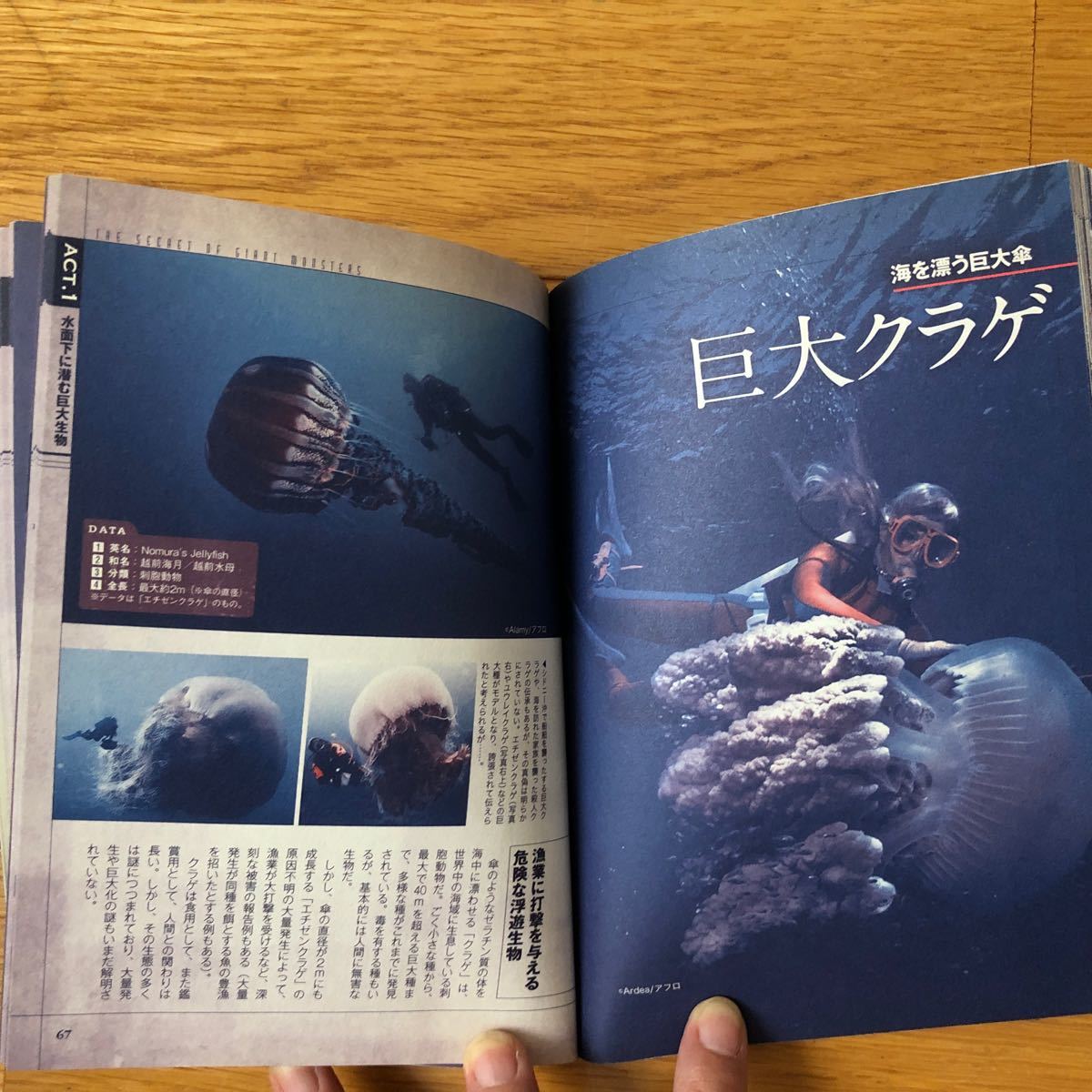 Paypayフリマ 幻の巨大生物と未確認生物 竹書房 並木伸一郎 単行本 中古 Paypayフリマ 幻の巨大生物と未確認生物 竹書房 並木伸一郎 単行本 中古