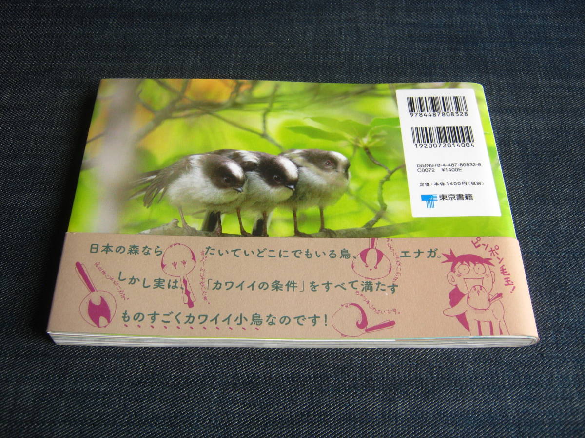 ヤフオク エナガのねぐら 写真集 野鳥 富士山麓 ヤフオク エナガのねぐら 写真集 野鳥 富士山麓