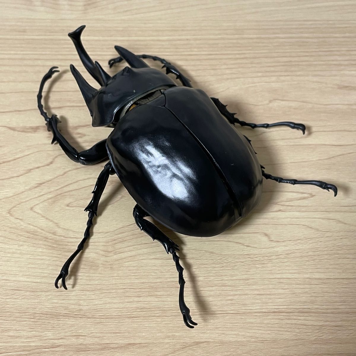 SUNDAYいきもの大図鑑 プレミアムガチャ アクティオンゾウカブト