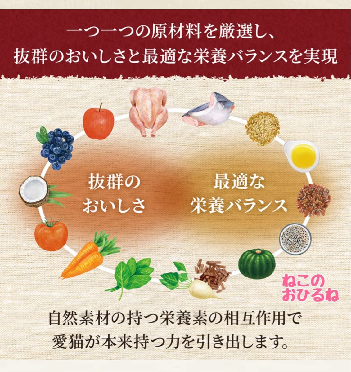 ニュートロシュプレモ　子猫用　（チキン&サーモン）　3kgパック　賞味期限最新♪