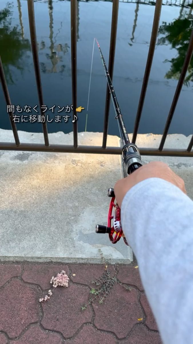のりさん白い貝 二代目Hyperヘチ! 3個 強靭フライフック付き