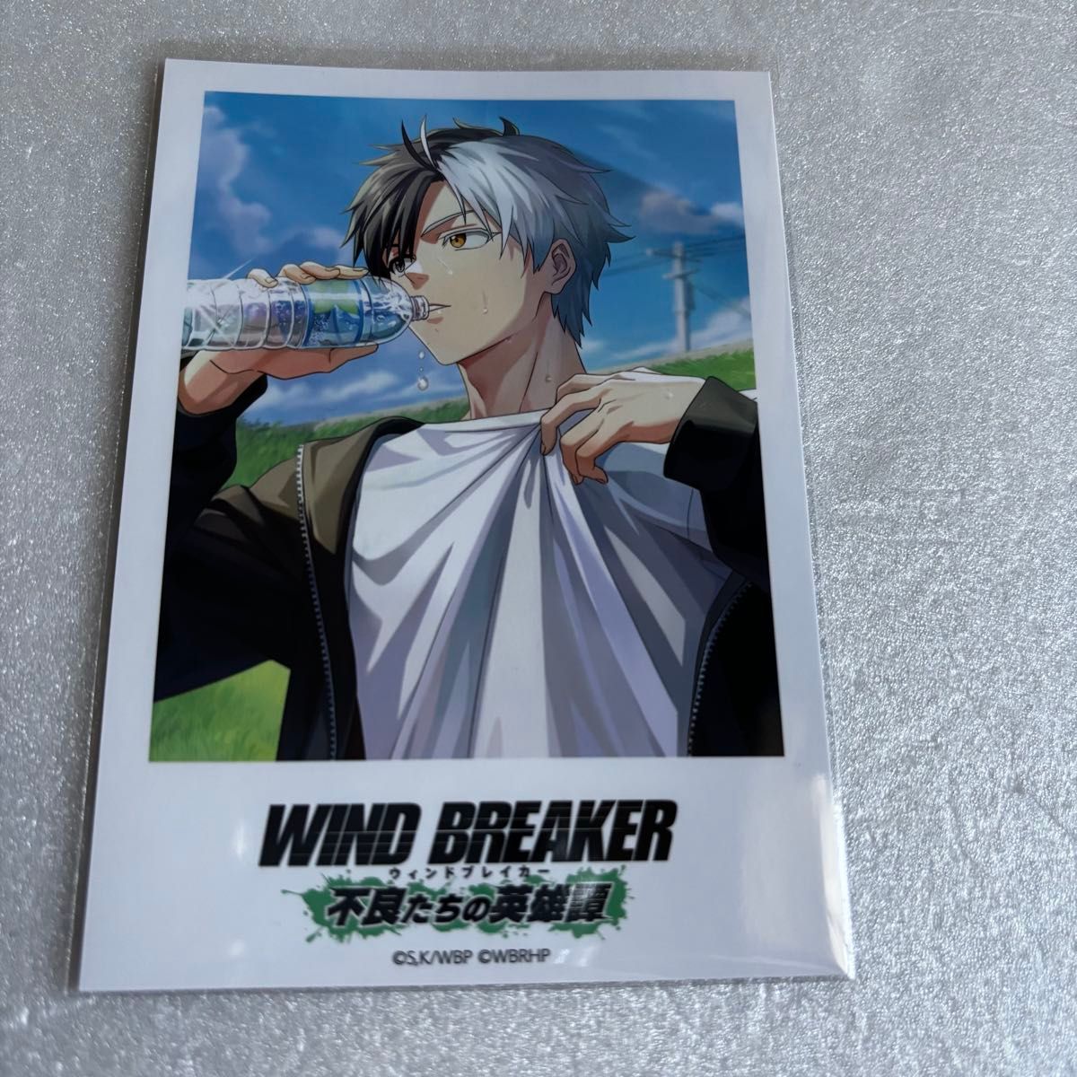 通販 クリスマスセール2025: 特集 BREAKER WIND ウィンブレ ポラロイドカード ウィンヒロ 桜遥 その他