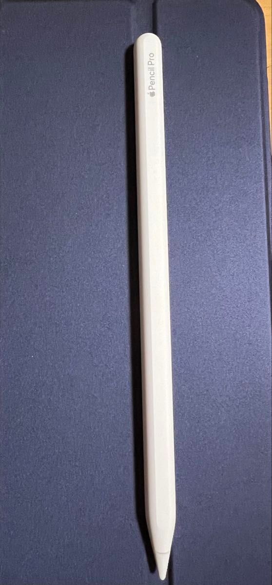 iPad mini A17 Pro セルラー Apple Pencil Pro iPad mini A17 Pro 第7世代 セルラー 256GB ブルー Apple Pencil