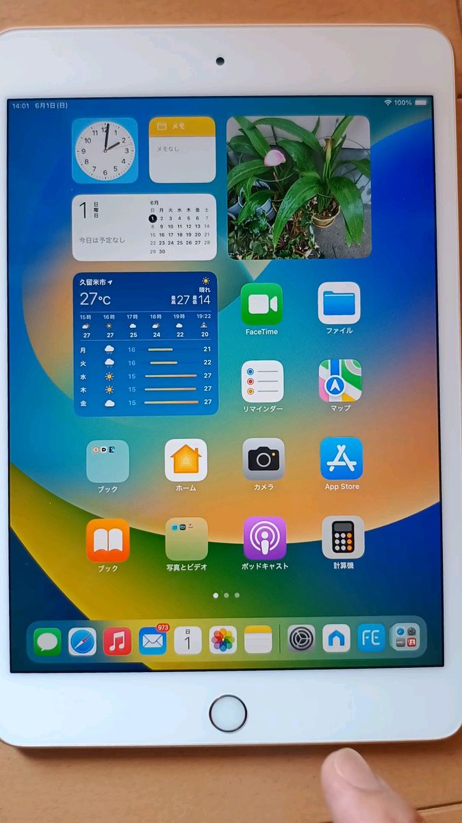 Apple iPad mini 第5世代 64GB Wifi ピンクゴールド