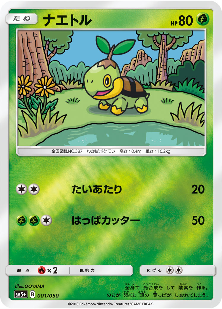 ヤフオク 数量あり ミラー ナエトル Sm5 草 ポケモン