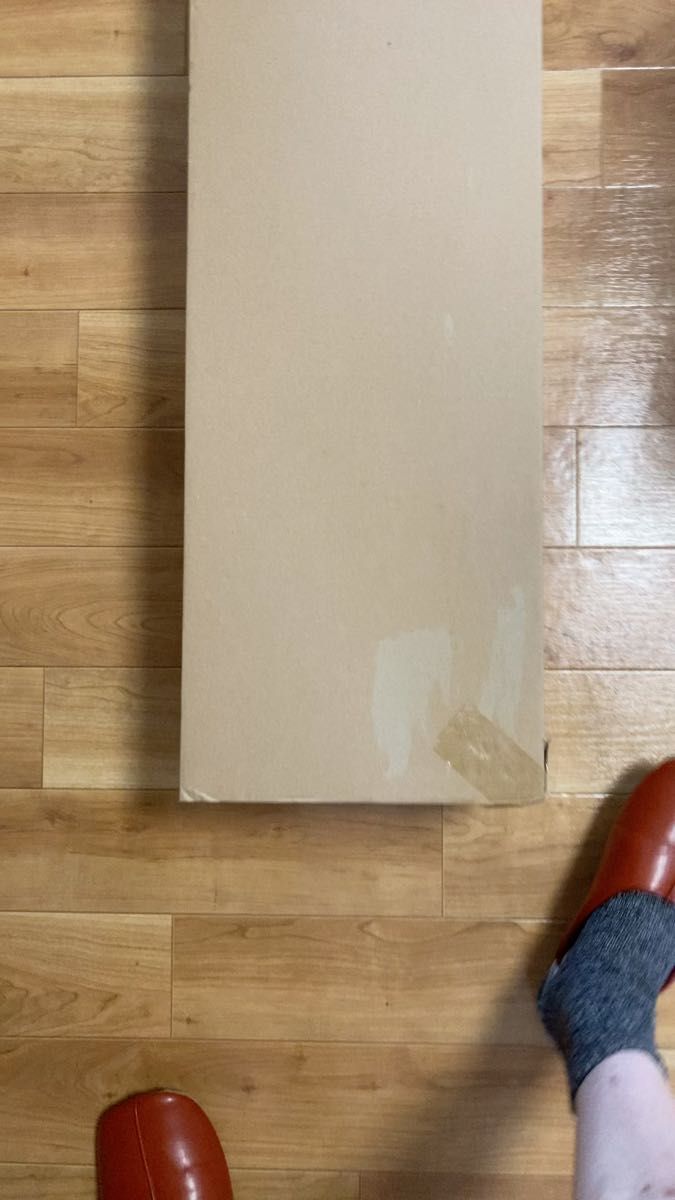 Dyson Cyclone V10 Fluffy SV12 FF LF