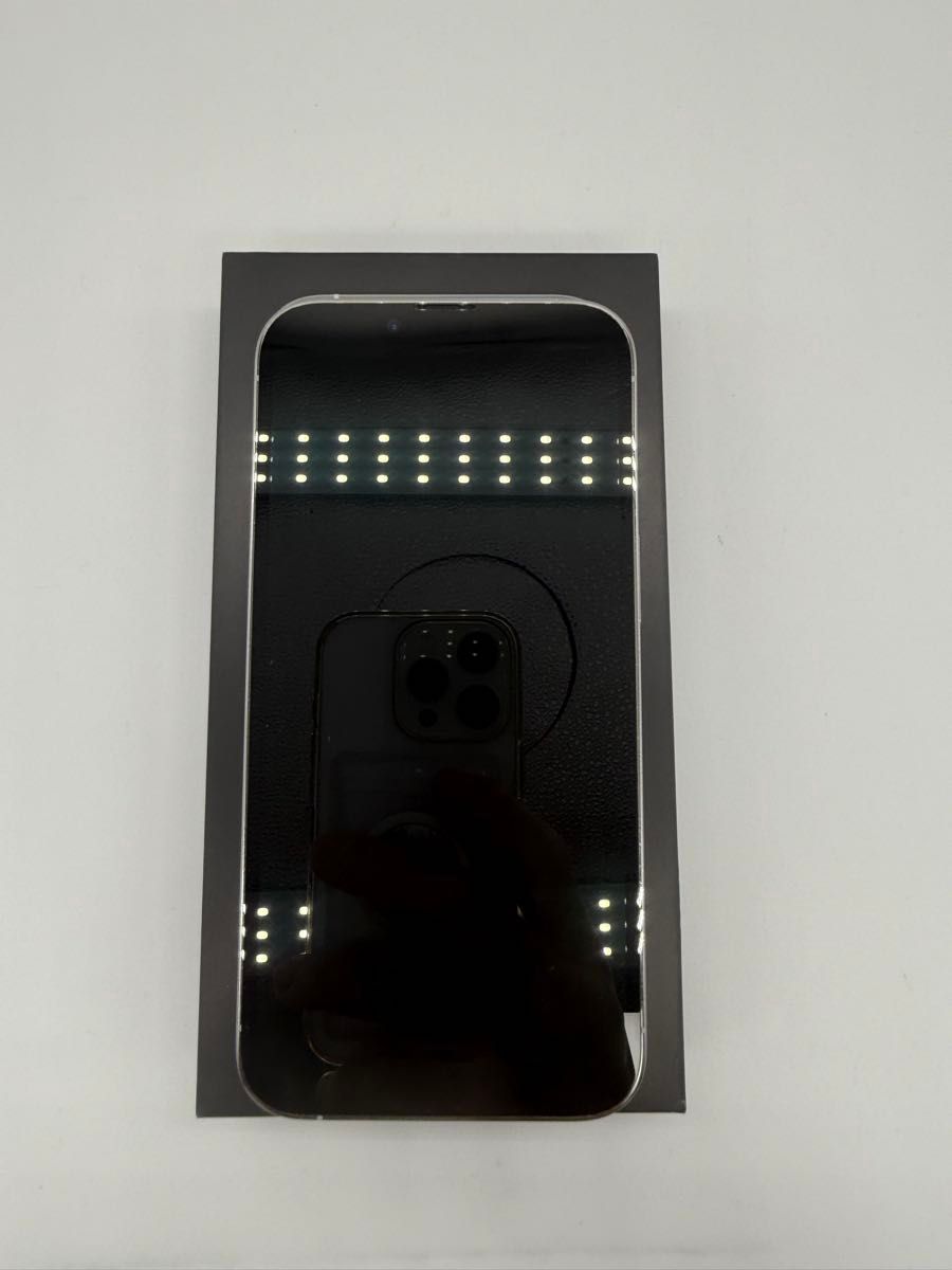 iPhone 13 Pro 256GB シルバー