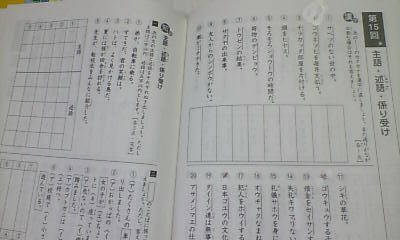 サピックス SAPIX 4年 小4 国語/国語の要 その1 4冊 塾外 ...