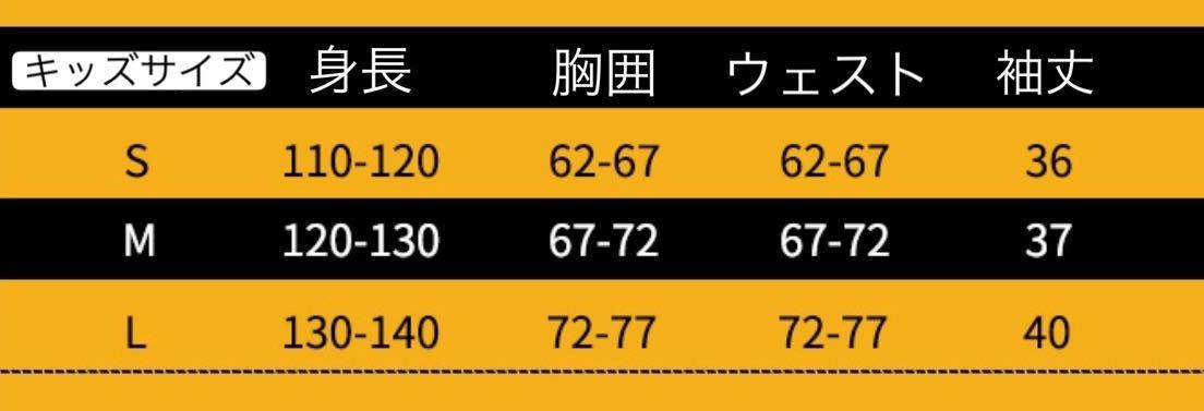 ヤフオク 鬼滅の刃 産屋敷耀哉 鬼殺隊 お館様 鬼殺隊の最