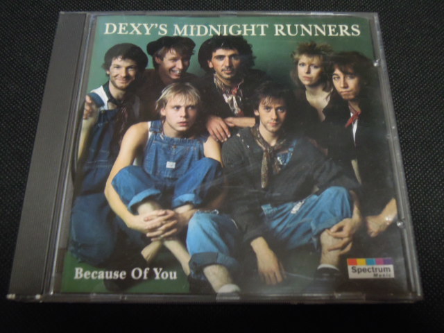 Dexys Midnight Runners / CD / Because Of You / デキシーズ・ミッドナイト・ランナーズ_画像1
