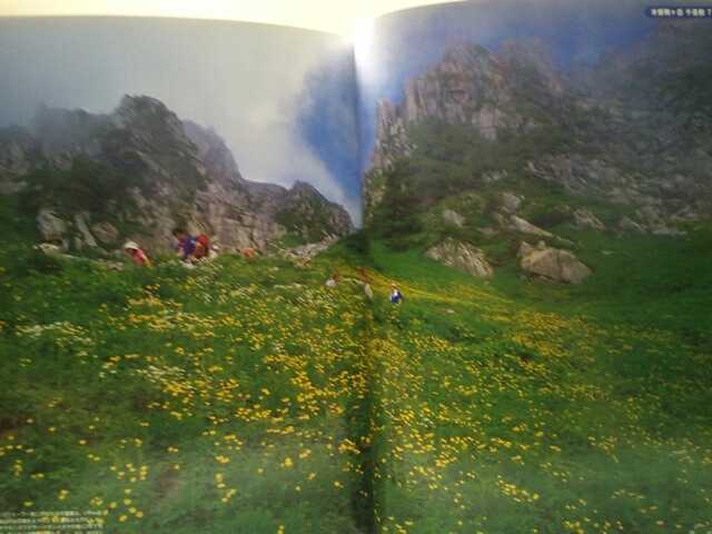 ◆◆週刊花の百名山14木曽駒ケ岳 御岳山 守屋山◆◆登山道ルート地図☆長野県ロープウェイ千畳敷カール霊山信仰オンタデ湿地群生ザゼンソウ