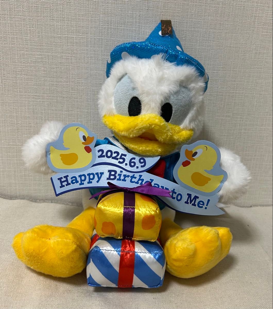 ドナルド 誕生日 ぬいぐるみ 2点セット ディズニー ドナルド2025誕生日ぬいぐるみ ぬいぐるみバッチ