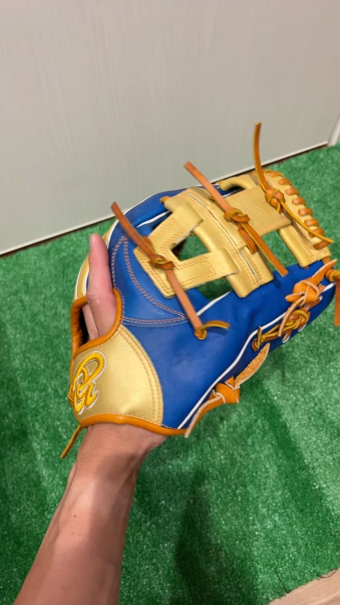定価30,800円 限定ドナイヤ軟式グローブ