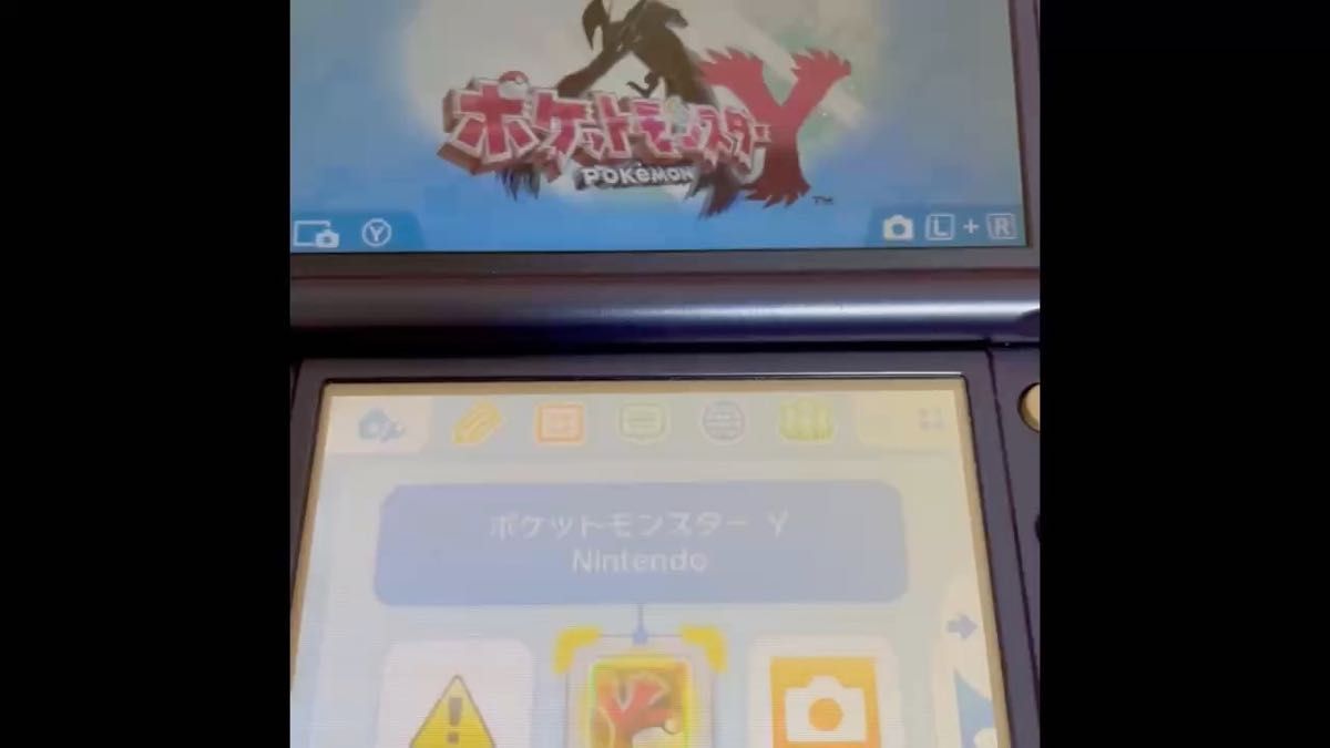 ポケットモンスター Y ニンテンドー3DS ソフト ポケットモンスター XY ポケモン 任天堂 Nintendo 動作確認済