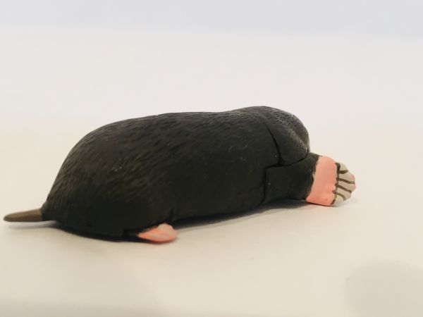 ヤフオク モグラ アズマモグラ フィギュア 日本 生き物 生 ヤフオク モグラ アズマモグラ フィギュア 日本 生き物 生