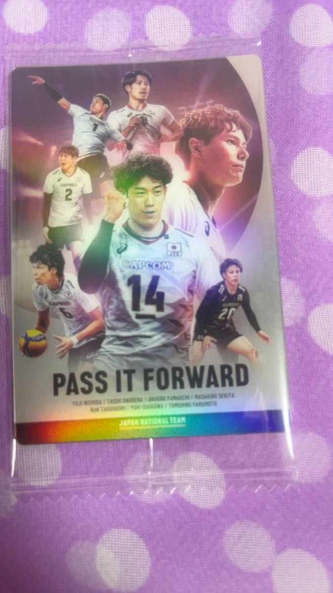 バレーボール男子日本代表 トレーディングカード PASS IT FORWARD