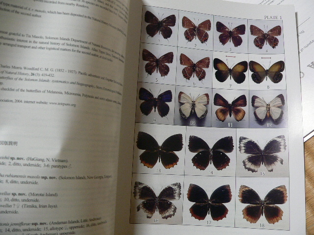 FUTAO(FUTAO会)1~56号 Entomological journal of FUTAO-KAI FUTAO(FUTAO会)1~56号 Entomological journal of FUTAO-KAI