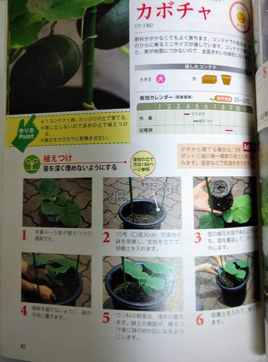 Paypayフリマ 新装版 ベランダでもok コンテナでつくる はじめての野菜づくり 家庭菜園 Paypayフリマ 新装版 ベランダでもok コンテナでつくる はじめての野菜づくり 家庭菜園