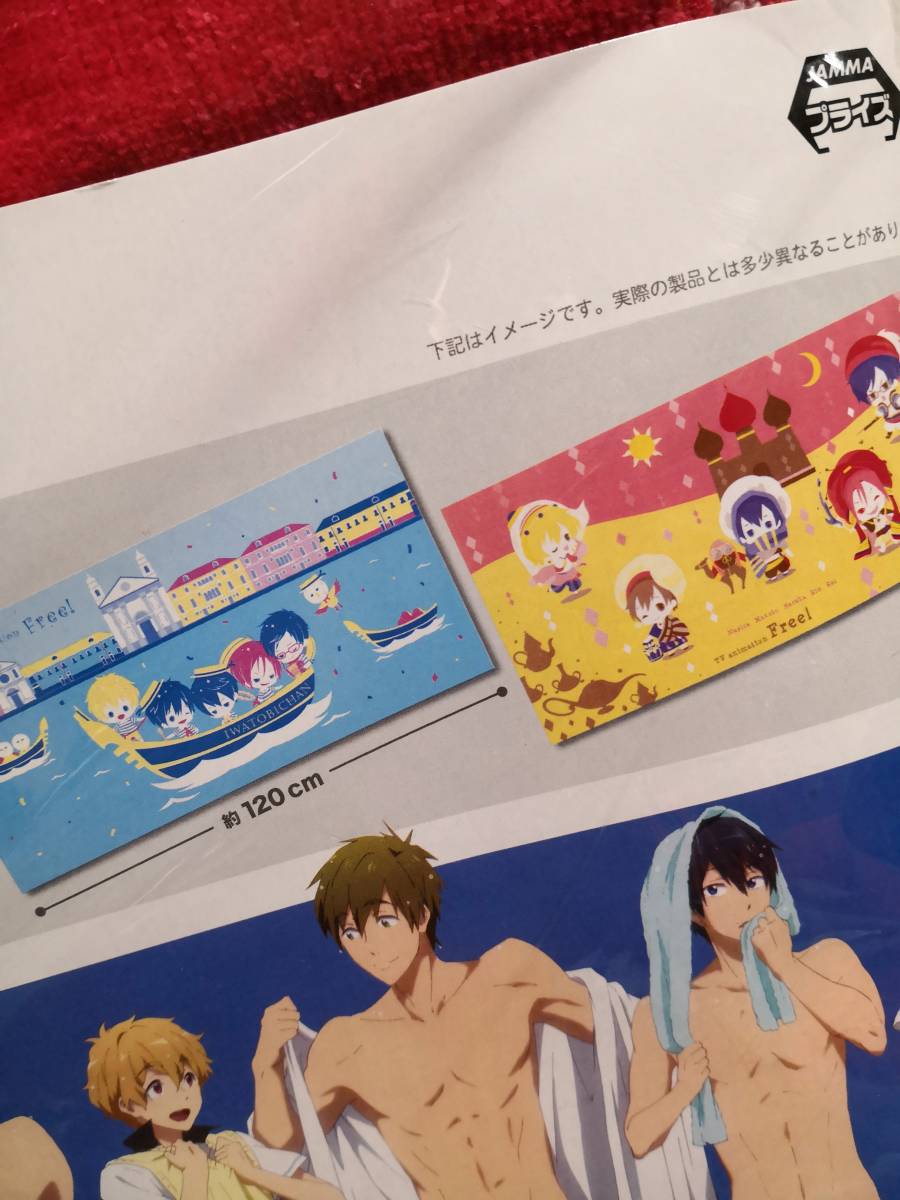 Free!まとめ売り ポスター ポストカード付 七瀬遙&橘真琴 葉月渚